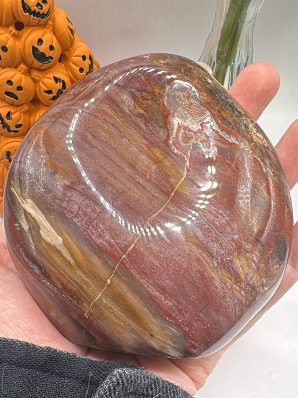 rainbow petrified free form